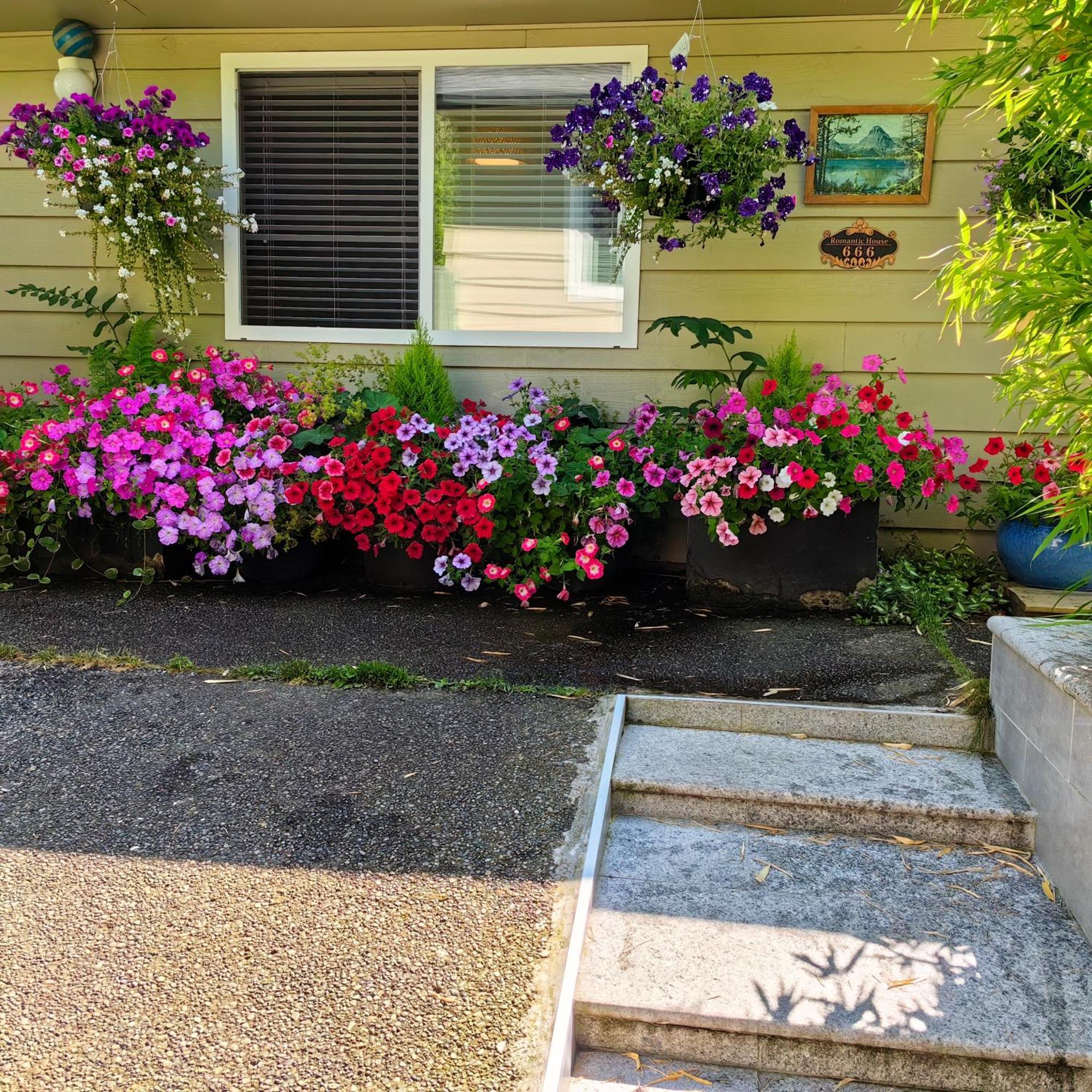 Romantic Homestay โคควิทแลม ภายนอก รูปภาพ